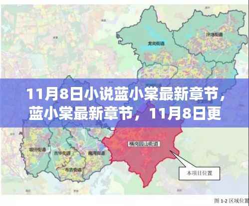 蓝小棠最新章节更新概览,11月8日之我见