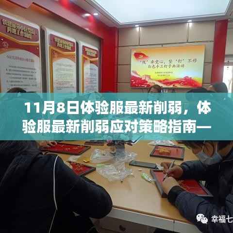 体验服最新削弱应对策略指南,初学者与进阶用户视角(适用于11月8日更新)