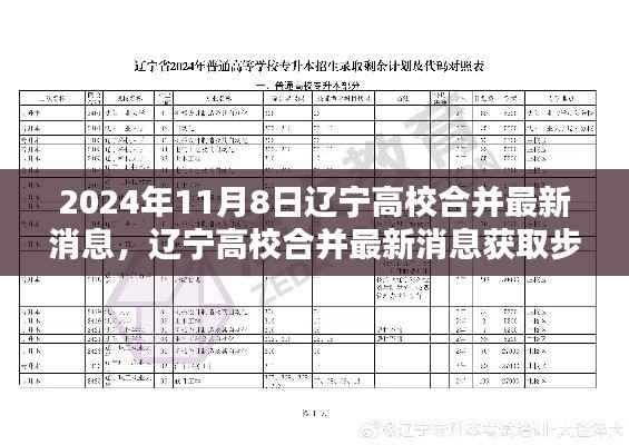 辽宁高校合并最新消息获取指南,初学者与进阶用户适用,2024年高校合并最新动态揭秘