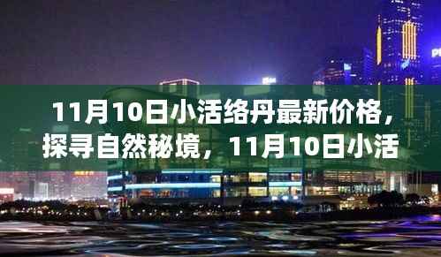 探寻自然秘境,揭秘小活络丹最新价格,心灵之旅启程在即