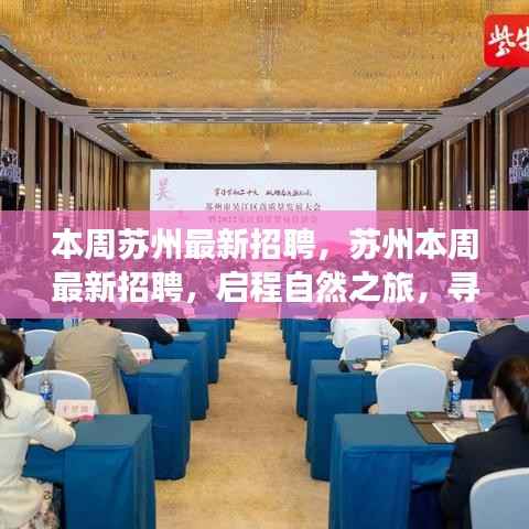 橘虞初梦 第33页