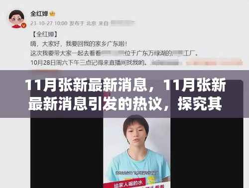 11月张新最新消息引热议,探究背后的影响与观点分歧