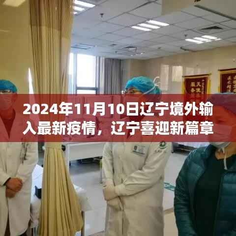 辽宁境外输入最新疫情动态,温情与友情的抗疫之旅(2024年11月)
