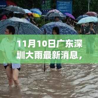 广东深圳暴雨背后的美景秘境,心灵洗涤之旅