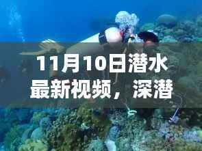 揭秘深潜新纪元,潜水最新视频的时代意义与影响(11月10日更新)