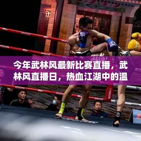 武林风直播日，热血江湖中的温情瞬间与最新比赛直播回顾