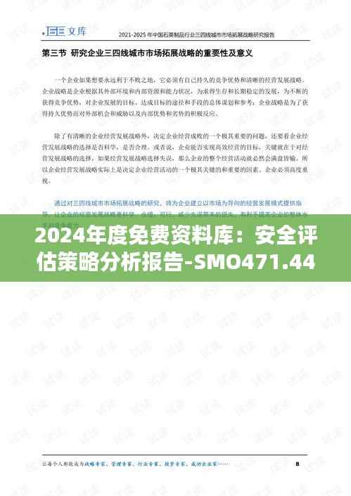 2024年度免费资料库:安全评估策略分析报告-SMO471.44版