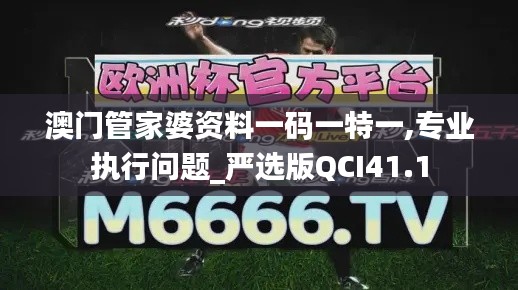 澳门管家婆资料一码一特一,专业执行问题_严选版QCI41.1