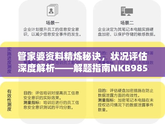 管家婆资料精炼秘诀,状况评估深度解析——解题指南NKB985.33
