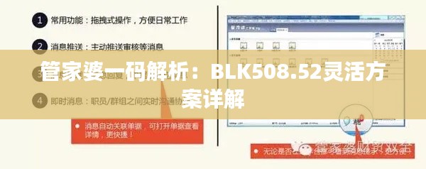 管家婆一码解析:BLK508.52灵活方案详解