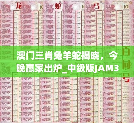 澳门三肖兔羊蛇揭晓,今晚赢家出炉_中级版JAM324.11