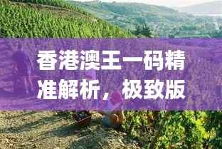 香港澳王一码精准解析,极致版图库动态赏析_BEG295.41