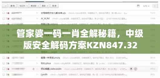 管家婆一码一肖全解秘籍,中级版安全解码方案KZN847.32