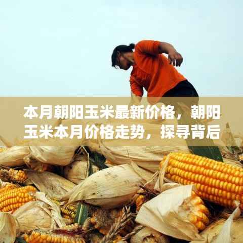 垂头丧气 第24页