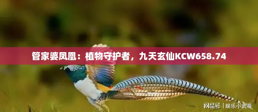 管家婆凤凰:植物守护者,九天玄仙KCW658.74