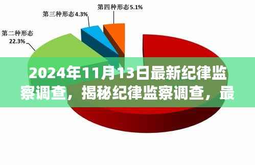 揭秘纪律监察调查,最新动态与深度解读(以纪念日期为例)