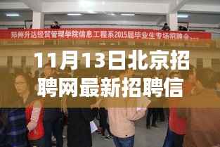 北京招聘网最新动态,聚焦招聘信息下的职场洞察与观点碰撞(11月13日)