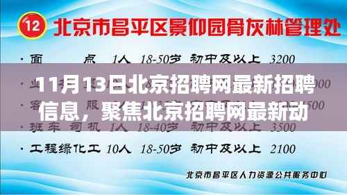 北京招聘网最新动态,聚焦招聘信息下的职场洞察与观点碰撞(11月13日)