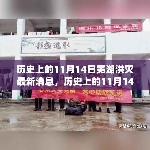 历史上的11月14日芜湖洪灾,全面关注与应对的最新消息指南