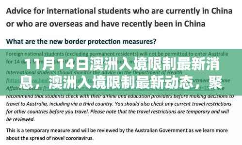 澳洲入境限制最新动态解析,聚焦11月14日的更新要点
