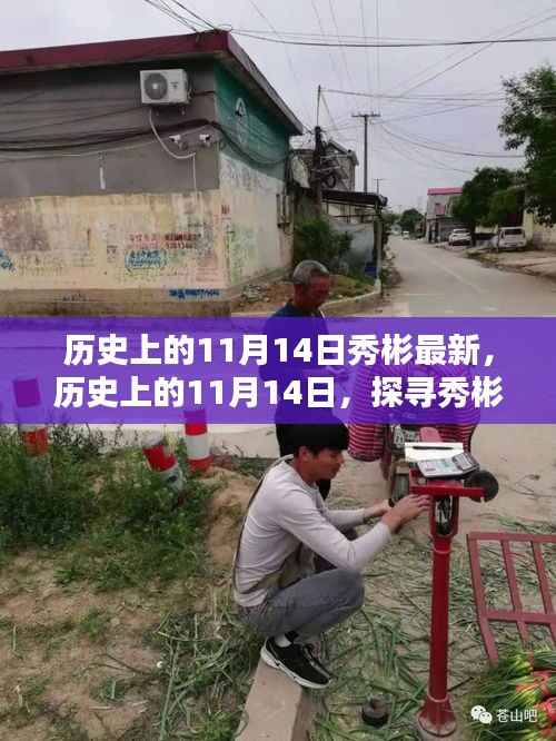探寻秀彬的最新足迹,历史上的11月14日回顾与最新进展