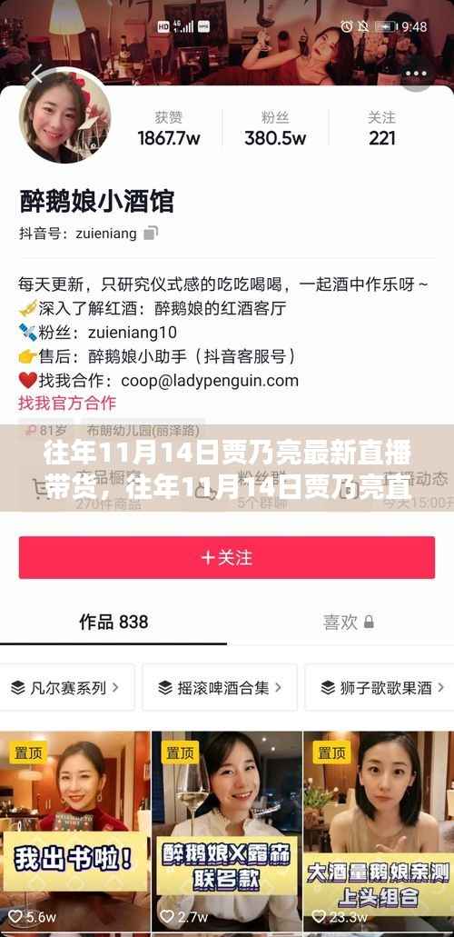 贾乃亮直播带货回顾,全面评测与介绍,历年双十一直播带货新动态