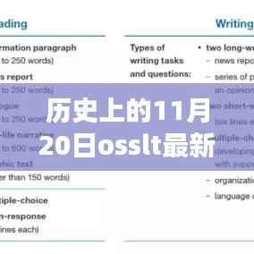 历史上的11月20日,最新回顾与OSSLT发展概览