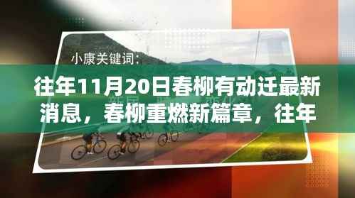 往年11月20日春柳动迁最新消息揭秘，开启新篇章的全面解析