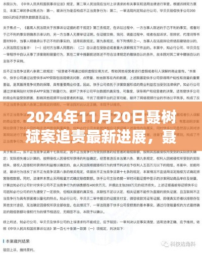 聂树斌案追责最新进展深度解析,2024年11月20日追责进展及评测