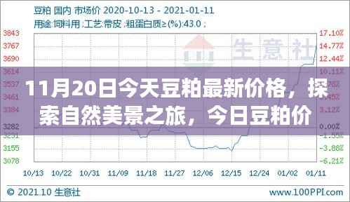 启程寻找内心平和,今日豆粕最新价格与自然美景之旅的宁静故事