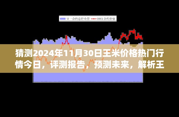 独家解析,王米价格行情预测至2024年11月30日,今日热门行情与未来展望评测报告