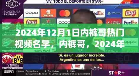 内裤哥现象,回顾2024年热门视频的记忆与回响