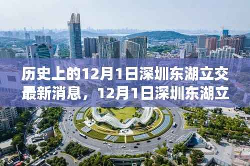 深圳东湖立交新进展,自然美景的心灵之旅启程日纪念报道