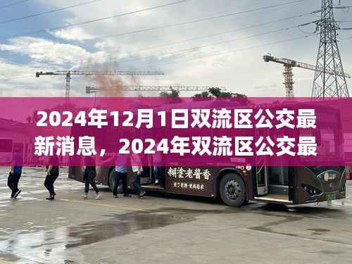 2024年双流区公交最新消息详解,获取与使用公交服务的全面指南