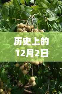 历史上的今天,西安桂圆西苑科技新品重磅发布,智能革命风暴掀起未来科技新生活体验