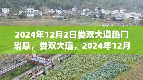 娄双大道热门焦点,揭秘2024年12月2日事件及其深远影响