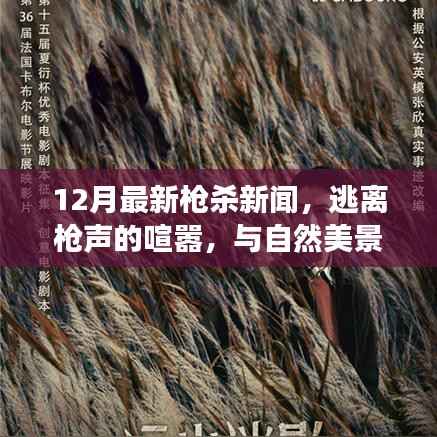 十二月枪案背后的逃离之旅,追寻内心平静的旅行记