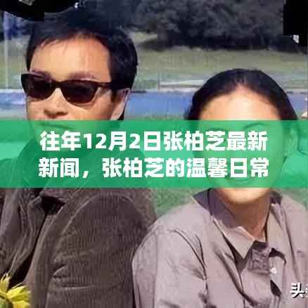 张柏芝12月2日温馨日常,阳光下的友情邂逅