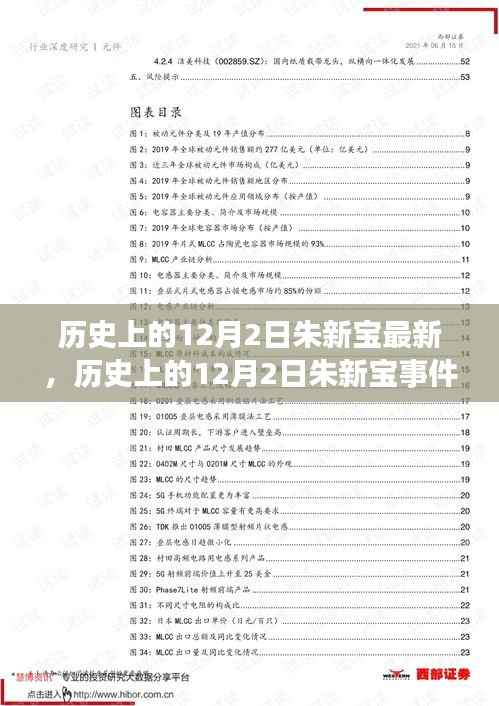 历史上的12月2日朱新宝事件深度解析与多方观点碰撞