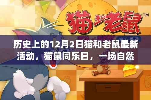 猫鼠同乐日,自然美景中的心灵之旅与猫和老鼠最新活动纪念时刻