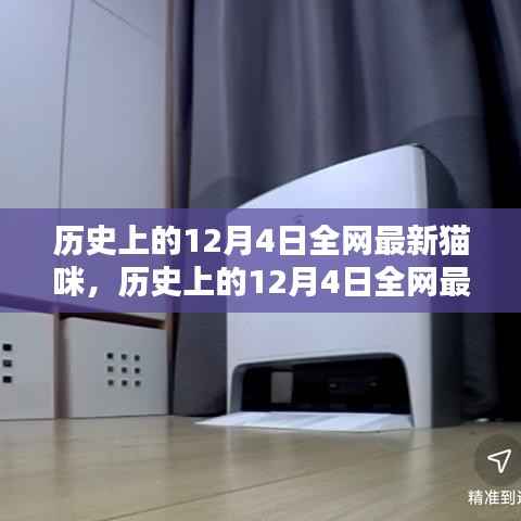 历史上的12月4日全网最新猫咪产品评测与介绍专题文章