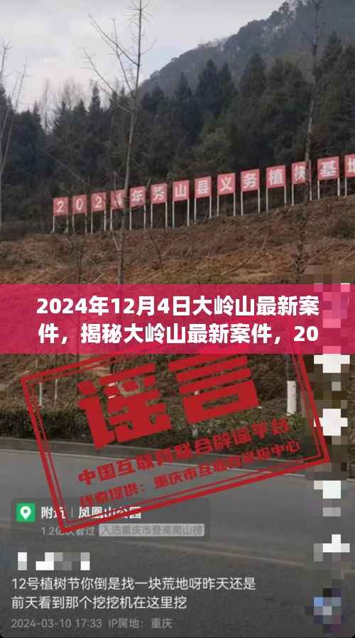 揭秘大岭山最新案件内幕,深度剖析大岭山事件真相(2024年12月4日)