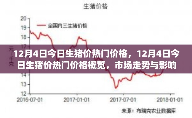 12月4日生猪价热门概览,深度解析市场走势与影响因素