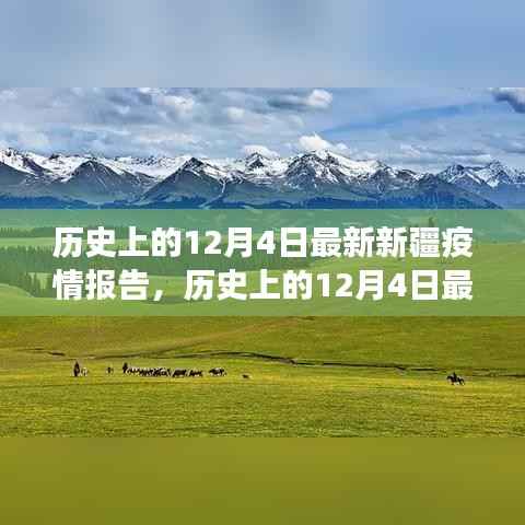 历史上的12月4日新疆疫情最新报告,详细解读与应对指南