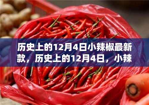 历史上的小辣椒最新款诞生与影响,揭秘12月4日的独特意义