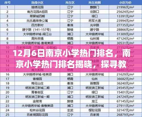 南京小学热门排名揭晓,探寻教育璀璨明珠(最新12月6日版)