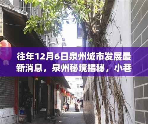 揭秘泉州秘境,城市新脉动与小巷深处的特色小店——历年十二月泉州发展概览