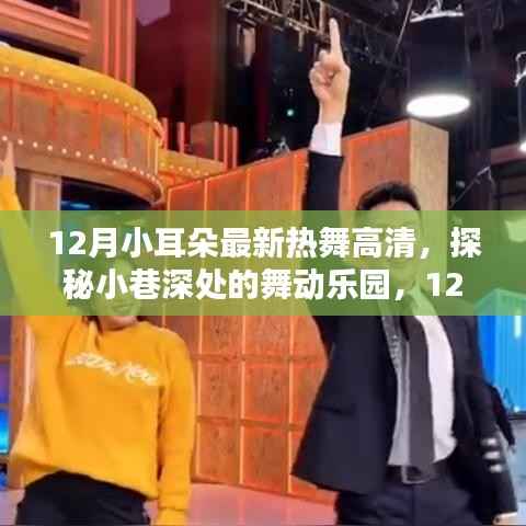 揭秘十二月小耳朵热舞背后的秘密,小巷深处的舞动乐园