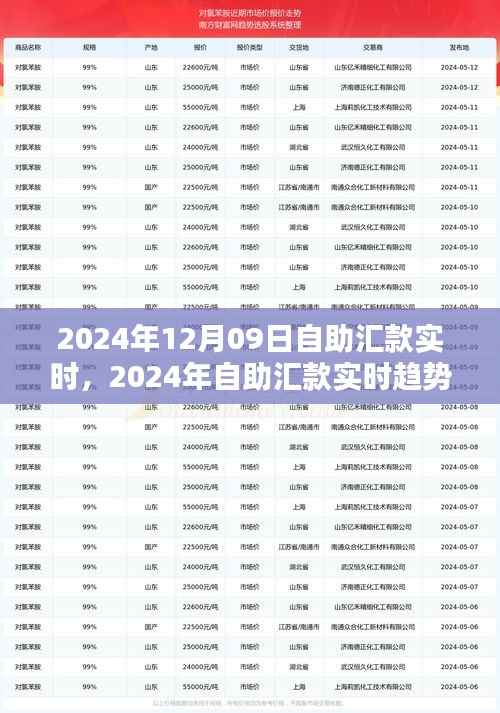 自助汇款实时趋势下的金融革新,机遇与挑战并存(2024年12月09日)