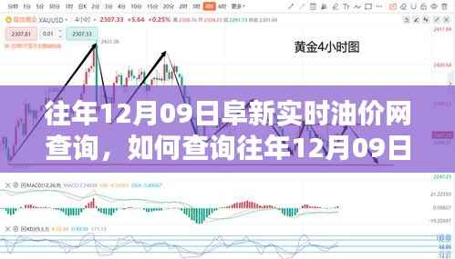 往年12月09日阜新实时油价网查询攻略,初学者与进阶用户指南